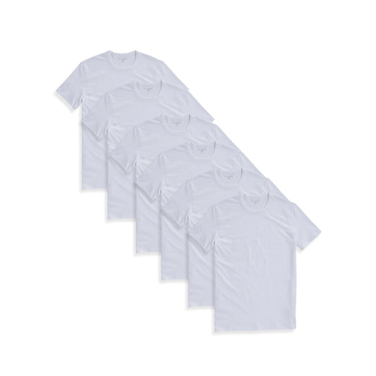 Classic Crew Driggs 6-Pack