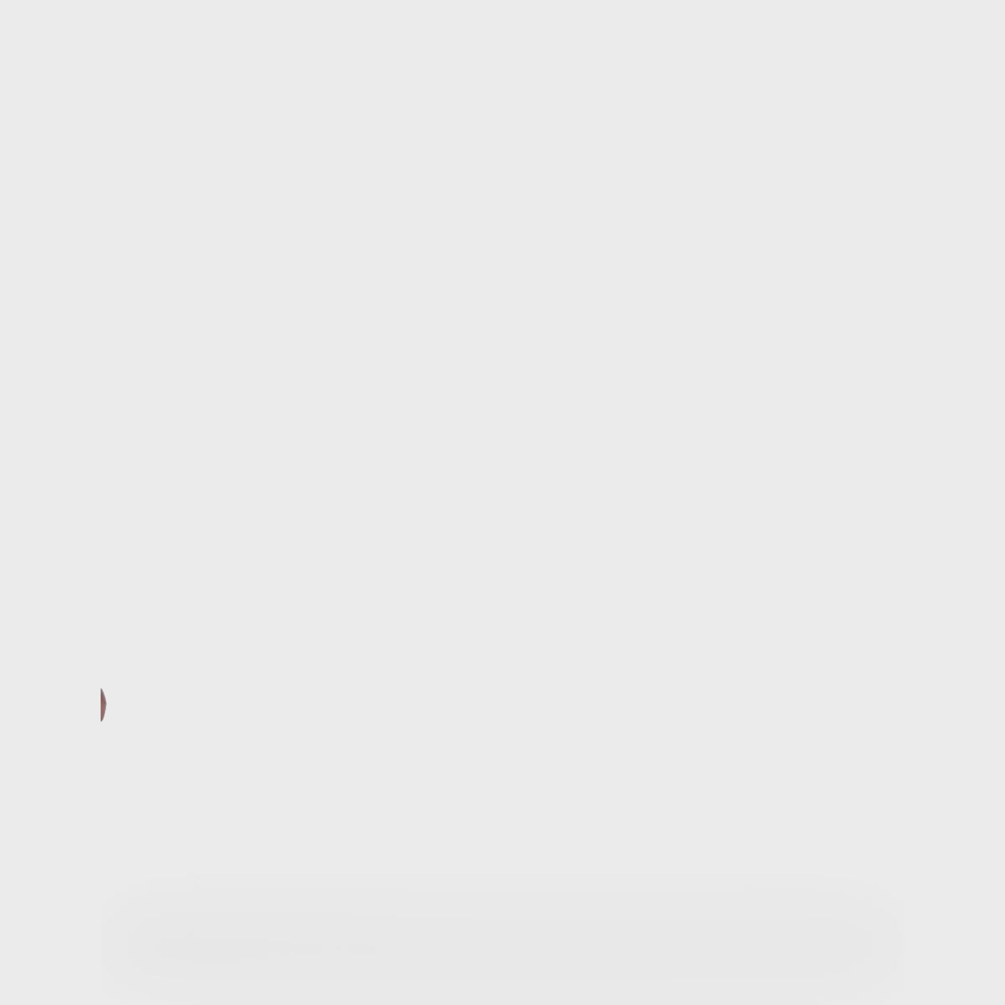https://cdn.shopify.com/s/files/1/0578/7385/8748/files/TH_MSST_BRID_Dark.jpg?v=1715289343